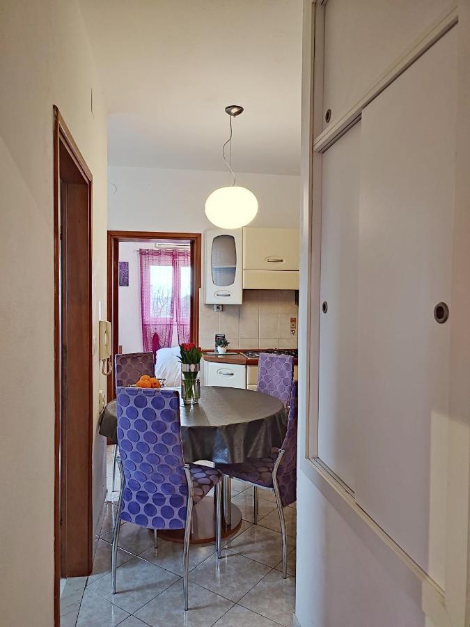 Apartment Dario 扎达尔 外观 照片