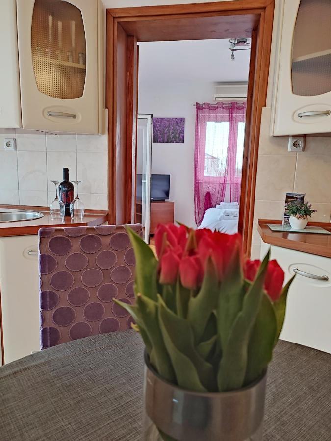 Apartment Dario 扎达尔 外观 照片