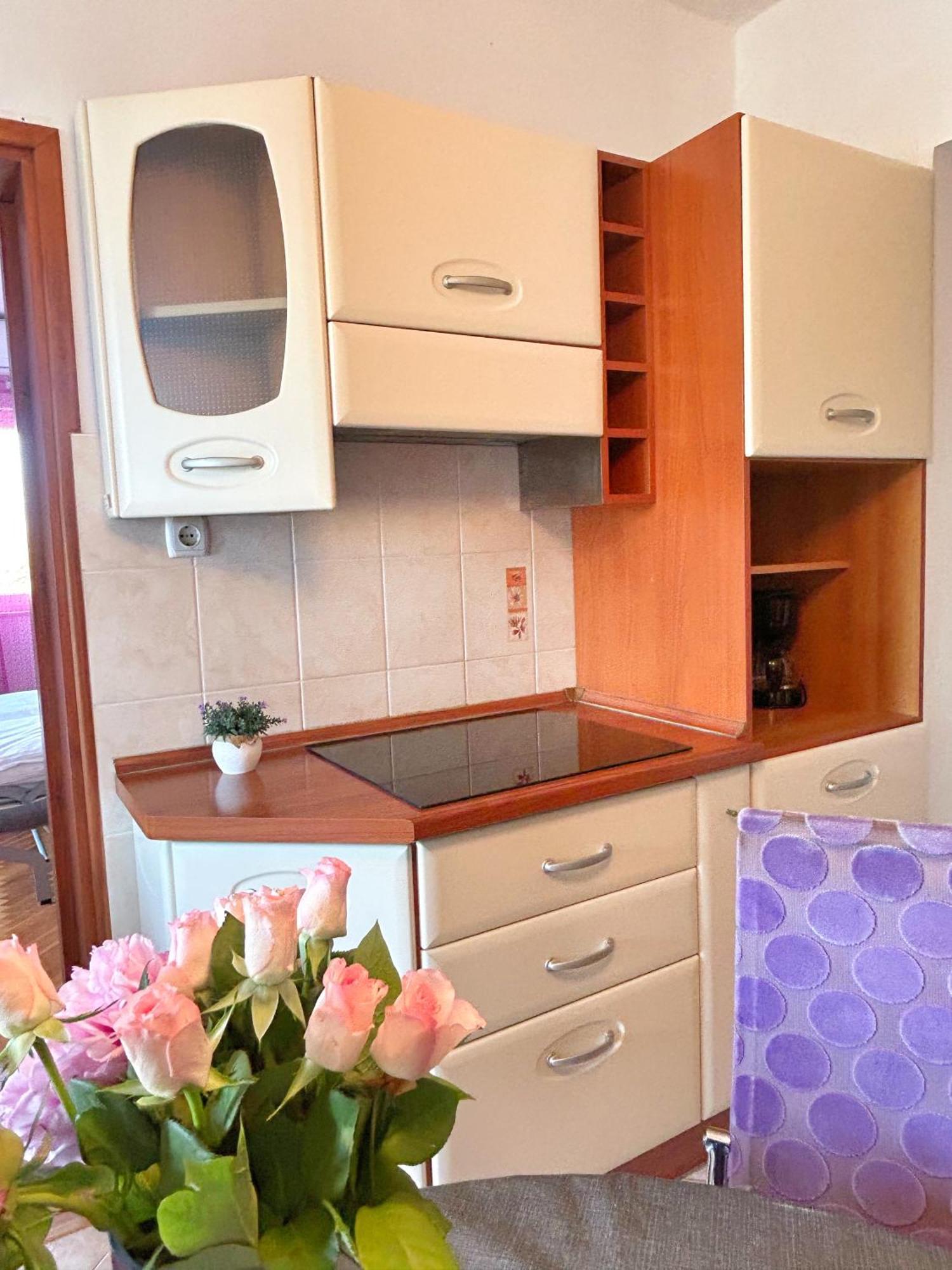 Apartment Dario 扎达尔 外观 照片